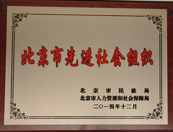 北京市先进社会组织.JPG